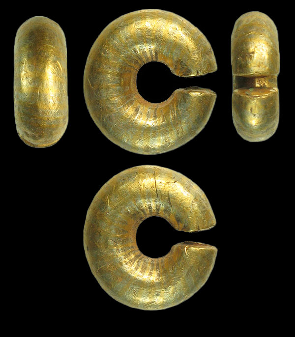 Iron age ring money. Best gold find 2011-2012